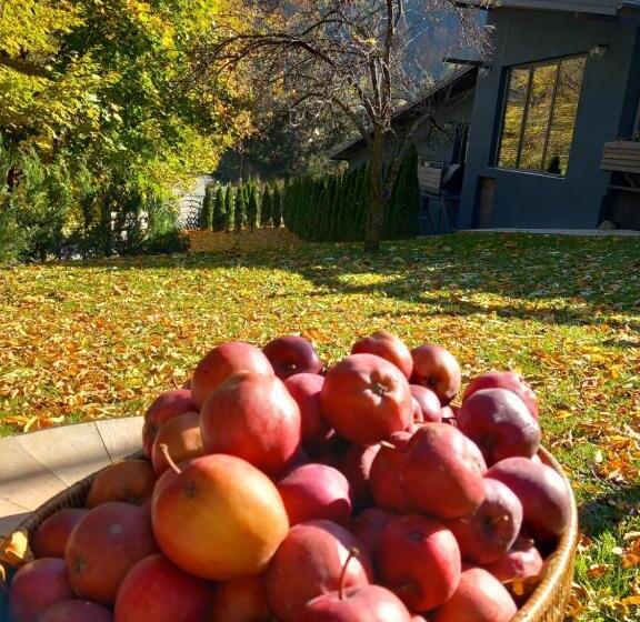 ペンション The Doft Villa