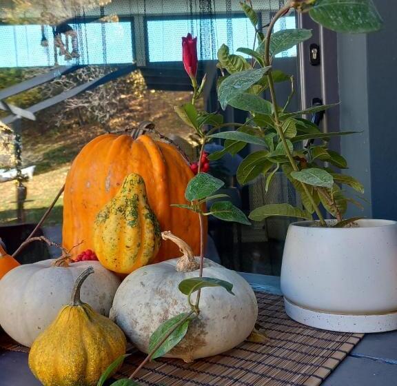 ペンション The Doft Villa