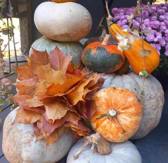 ペンション The Doft Villa