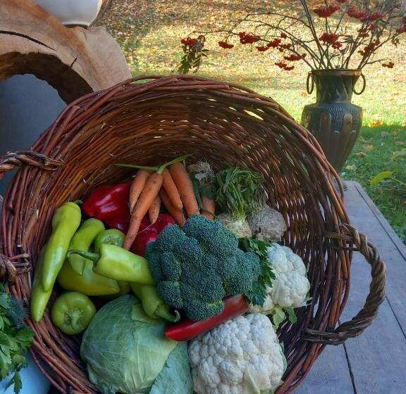 ペンション The Doft Villa