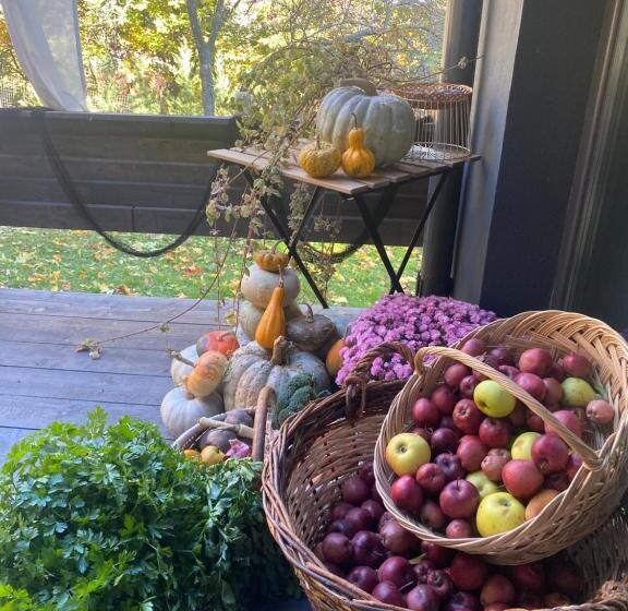 ペンション The Doft Villa