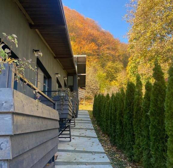 ペンション The Doft Villa