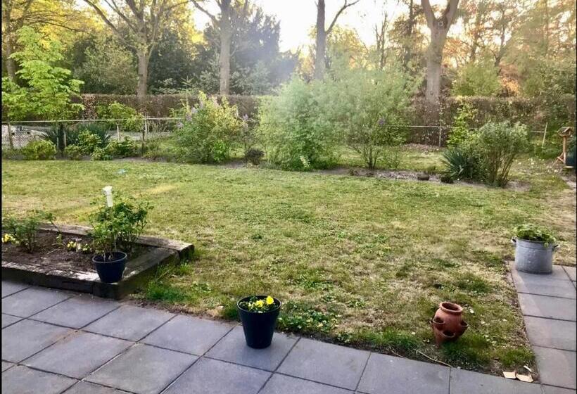 پانسیون Westenholte