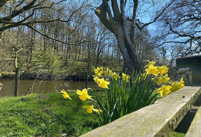 リゾートホテル Bowland Escapes