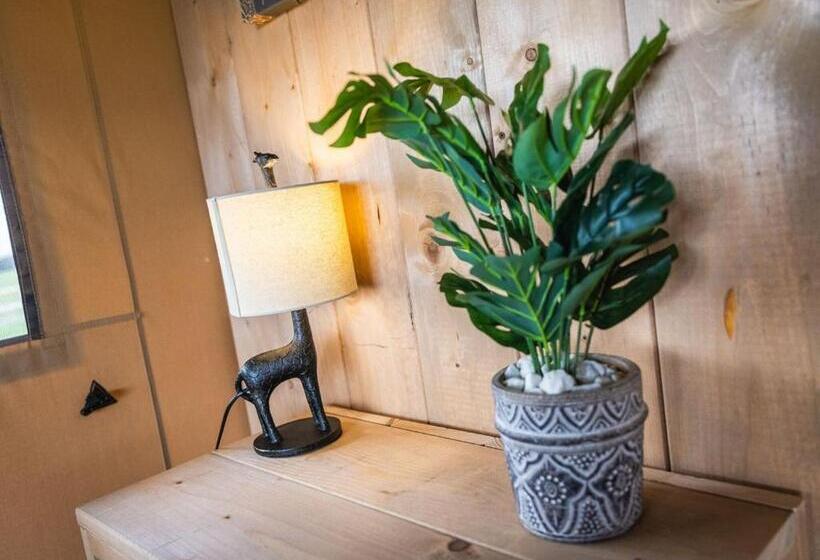 리조트 Folly Farm Holiday Park