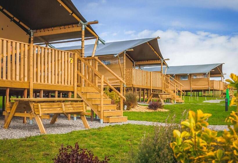 리조트 Folly Farm Holiday Park