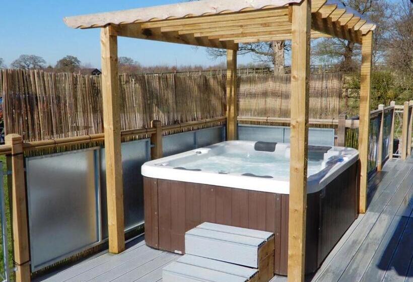 リゾートホテル Gadlas Park Holiday Cabins