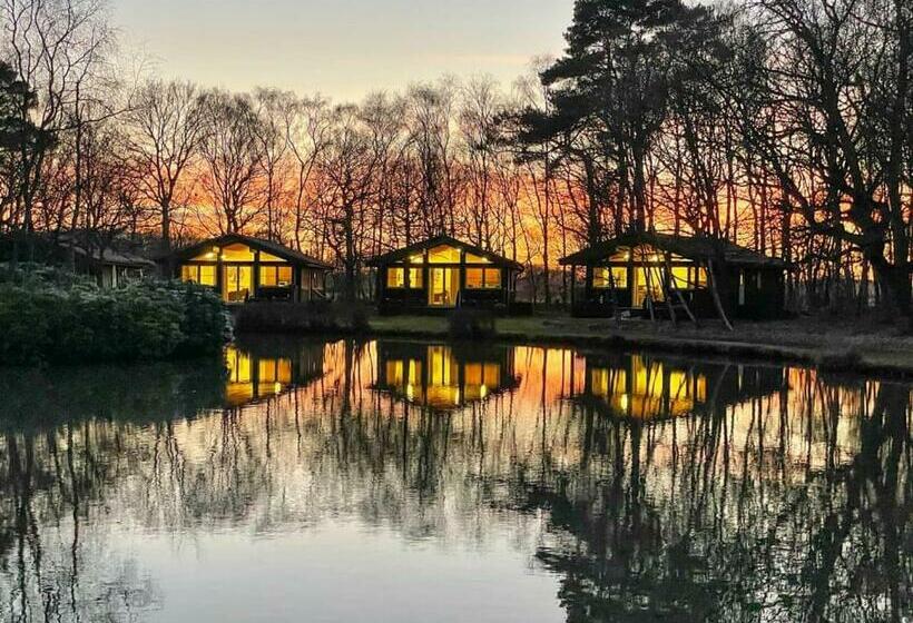 渡假胜地  Great Wood Lodges