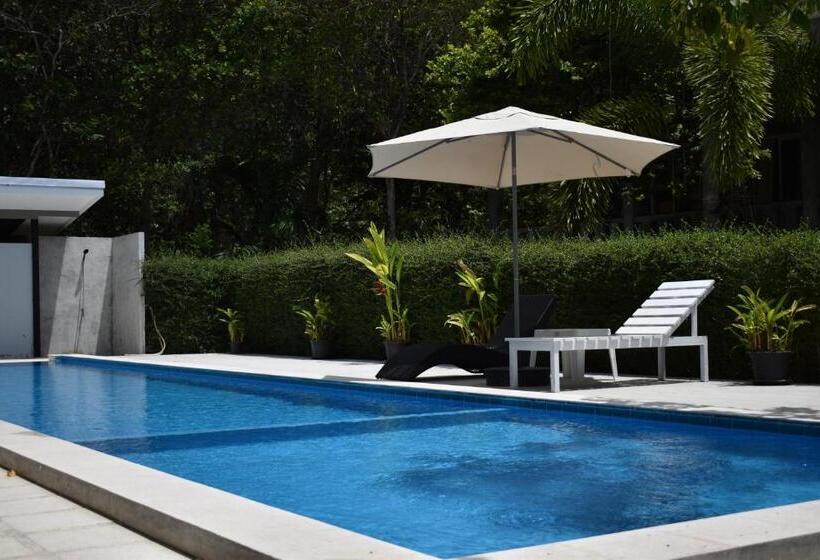 The Zohan Resort & Travel Agency