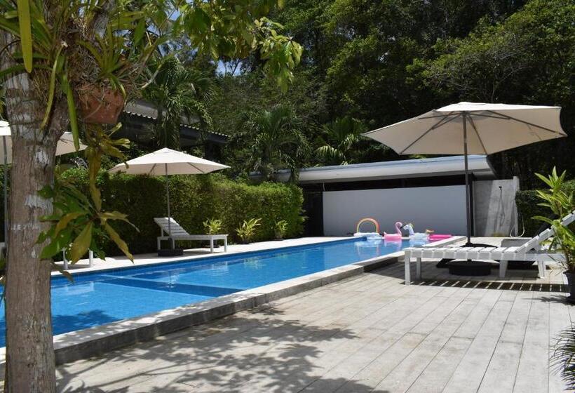 The Zohan Resort & Travel Agency