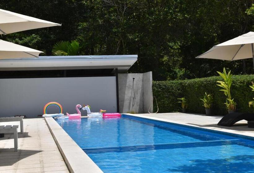 The Zohan Resort & Travel Agency