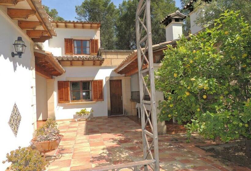 Villa En Andratx Con Piscina Privada