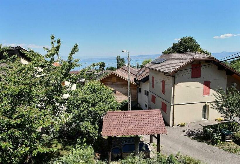 Apt Type 3 En Duplex Sur Evian Les Bains Vue Lac