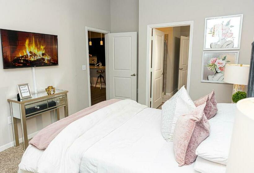 Beautiful Contemporary Apt In Tx Med Centre, Nrg Stadium