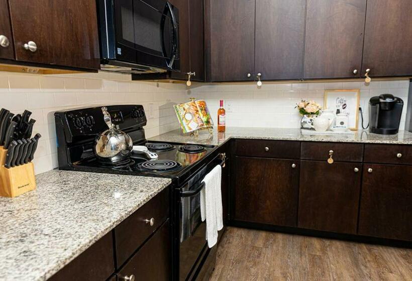 Beautiful Contemporary Apt In Tx Med Centre, Nrg Stadium