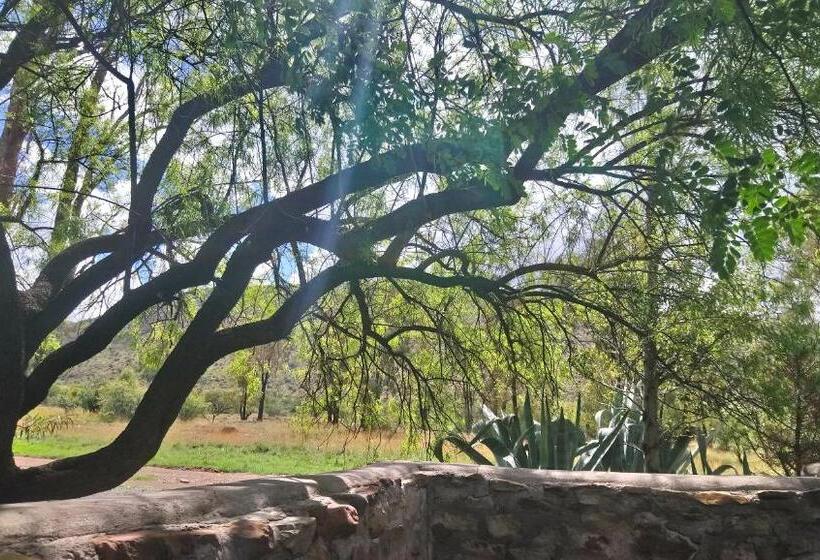 ベッドアンドブレックファースト Black Cottage