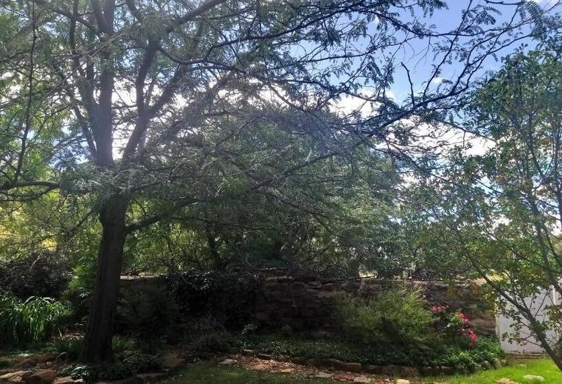 ベッドアンドブレックファースト Black Cottage