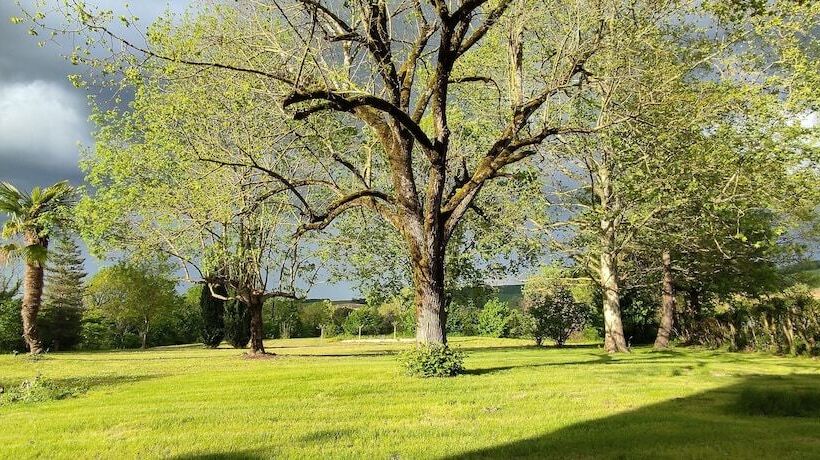 Bed and Breakfast Domaine Les Garrigues