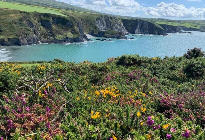 住宿加早餐  Dylan Thomas Sea View