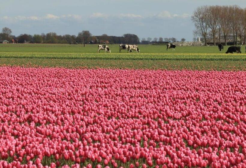 住宿加早餐  Huisjes Aartswoud