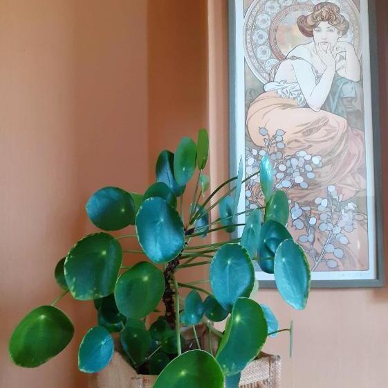 ベッドアンドブレックファースト Villa Ritte