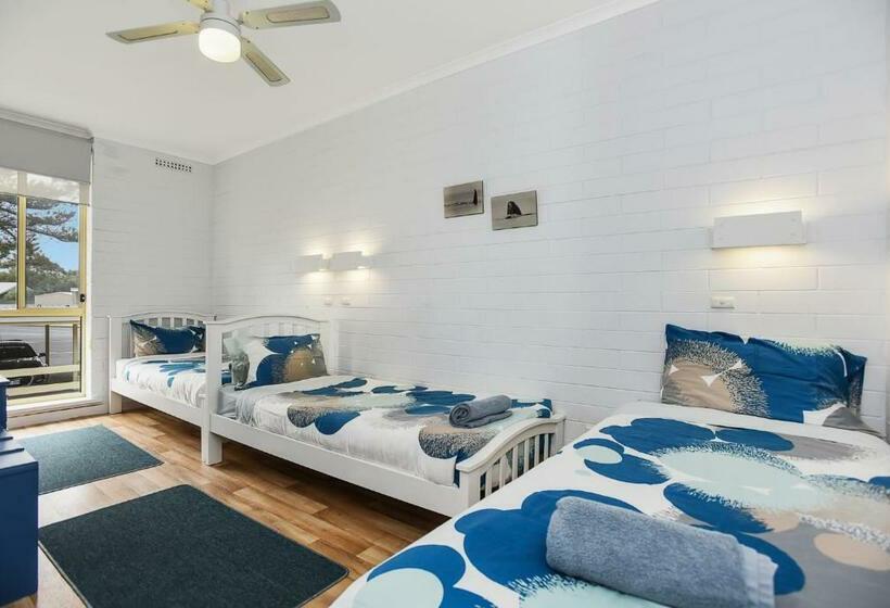 The Dolphins 7    Beachfront View To Remember