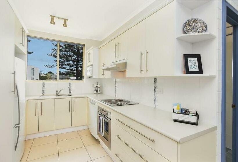 The Dolphins 7    Beachfront View To Remember