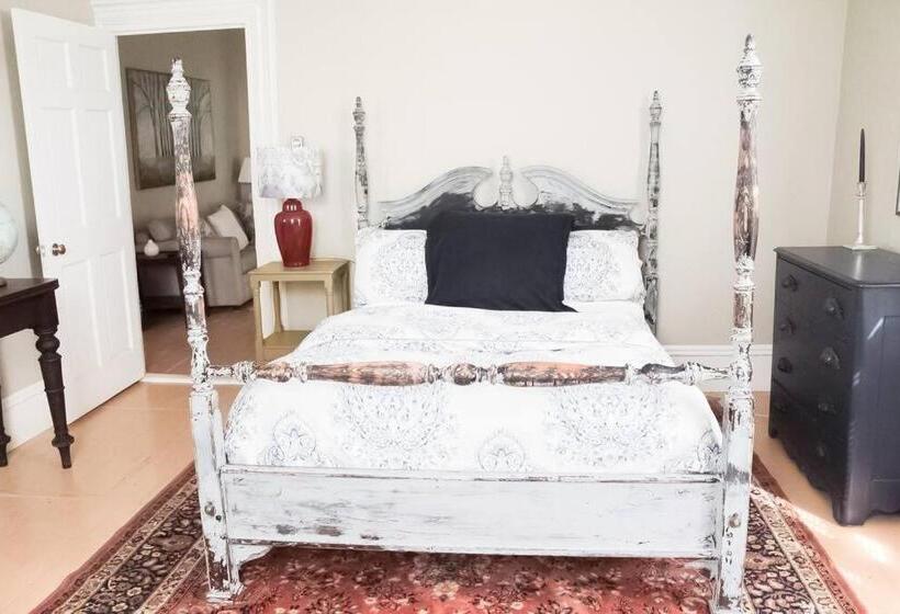 Honeysuckle Suite #1 Spacious Apartment Downtown