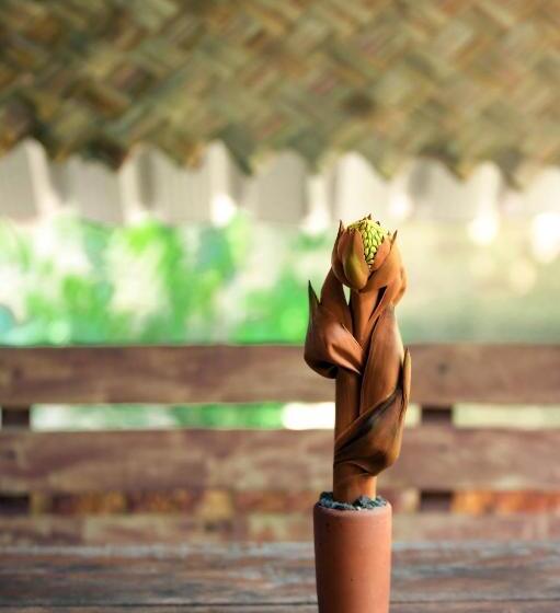 בית מלון כפרי Hela Gedara