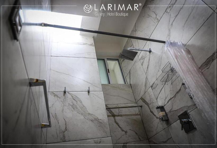 Larimar Gallery Y Hotel Boutique