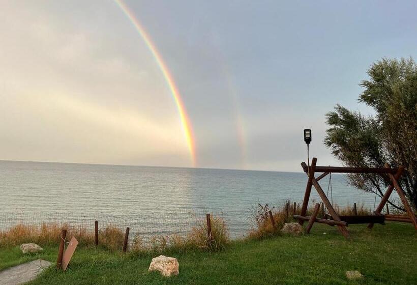 بنسيون Casa Analys