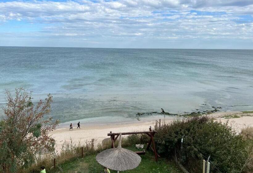 פנסיון Casa Analys