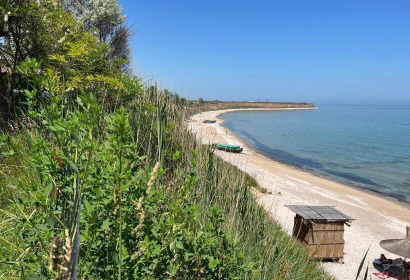 פנסיון Casa Analys