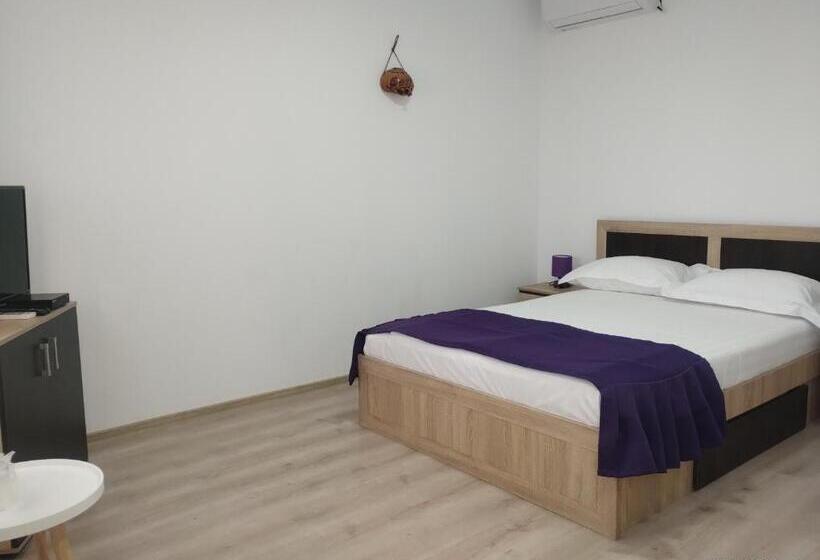 Пансион Casa De La Ghiol