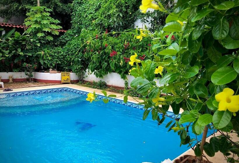 פנסיון Huitzilin Hostal