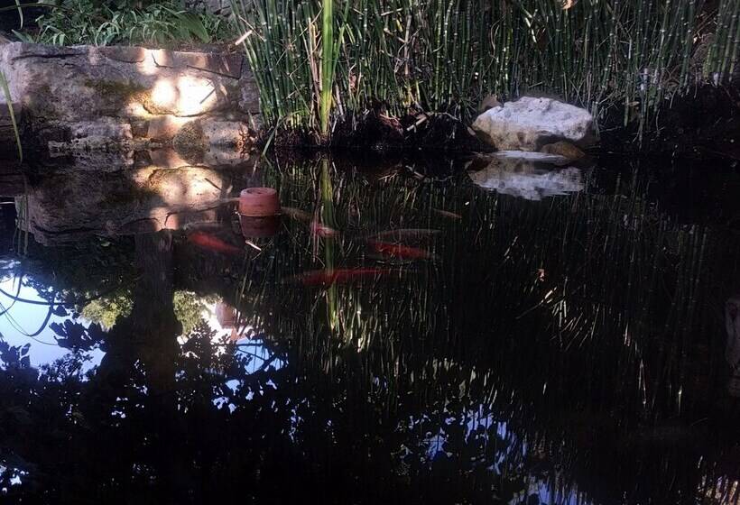 פנסיון Les Jardins D Arbousse