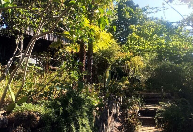 ペンション Les Jardins D Arbousse