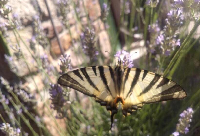 ペンション Les Jardins D Arbousse