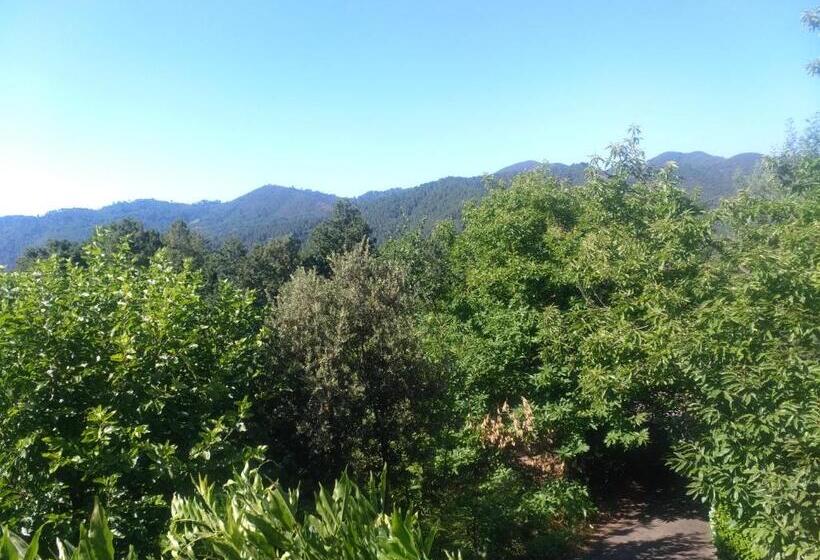 ペンション Les Jardins D Arbousse