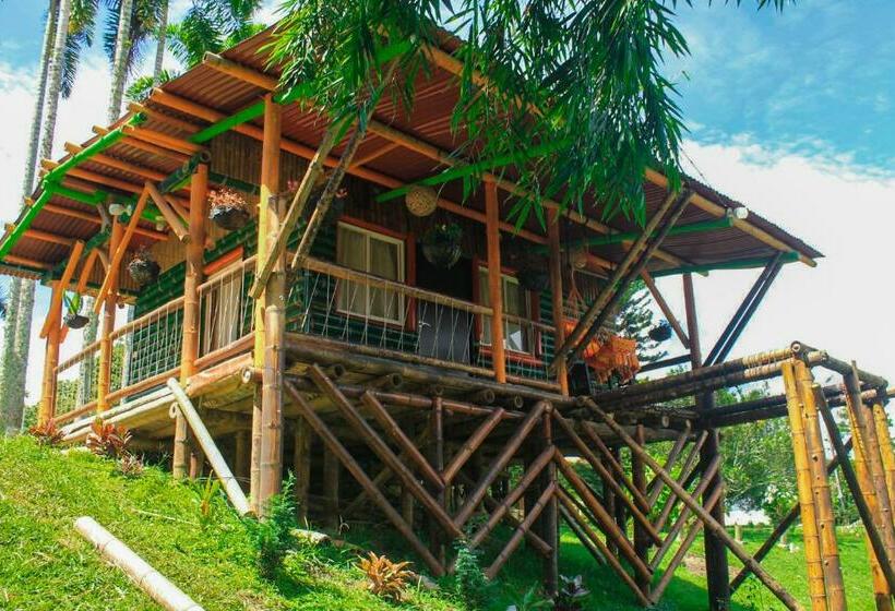 پانسیون Room In Lodge   Glamping Cabin