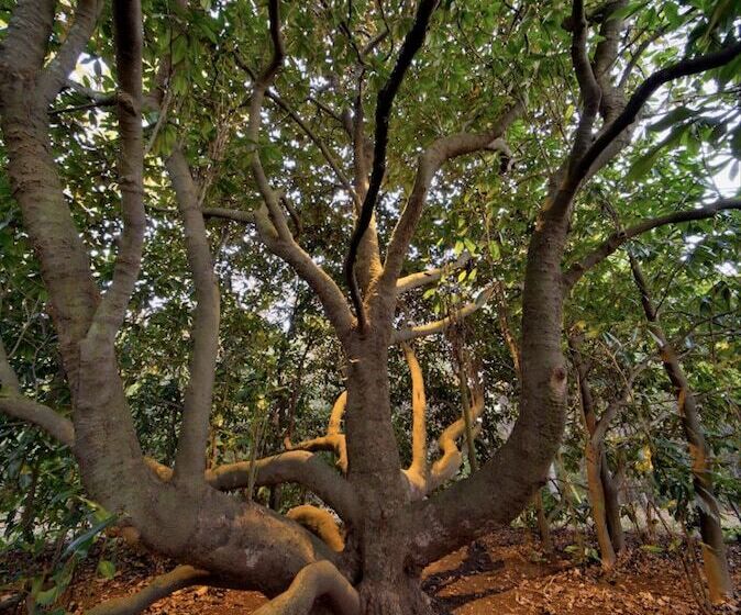 Red Hill Bed And Breakfast