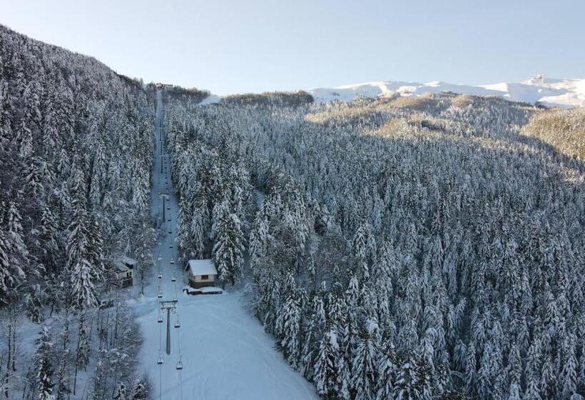 Residenza Riva Wellness Apartment Spa