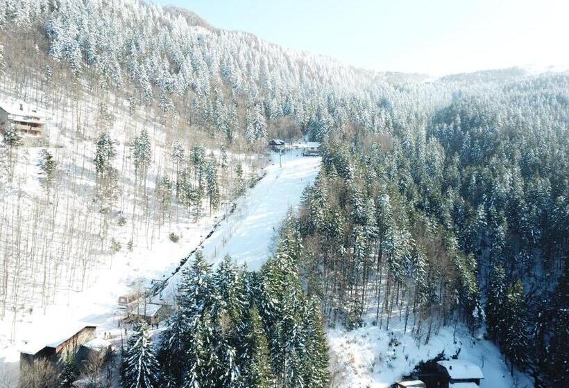 Residenza Riva Wellness Apartment Spa