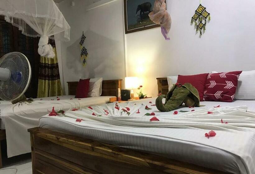 Another Night Hostel