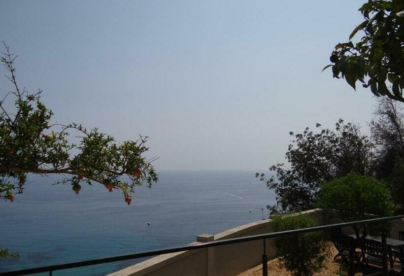 Appartement Villa Belle Epoque Roquebrune Cap Martin