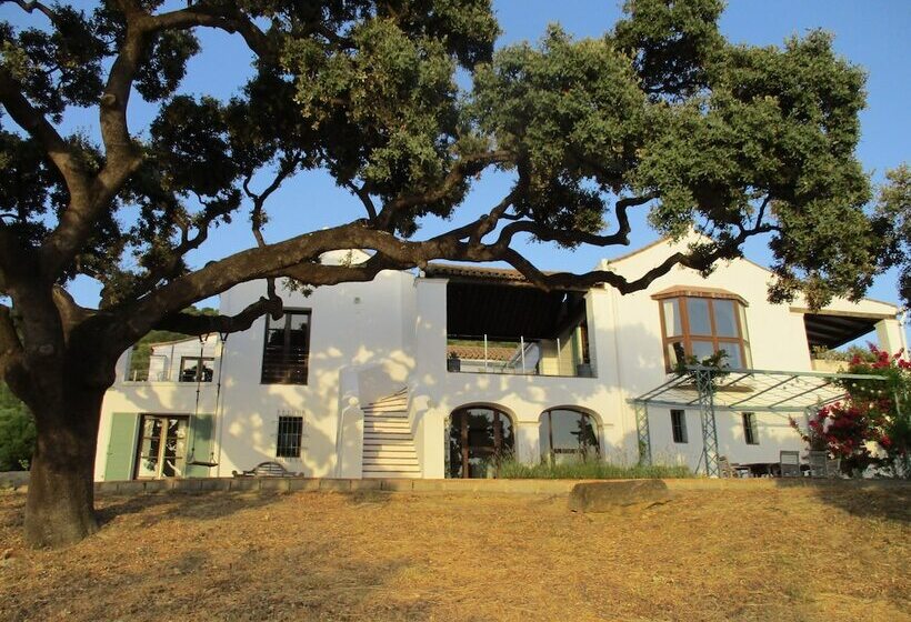 مبيت وإفطار Casa Laibon