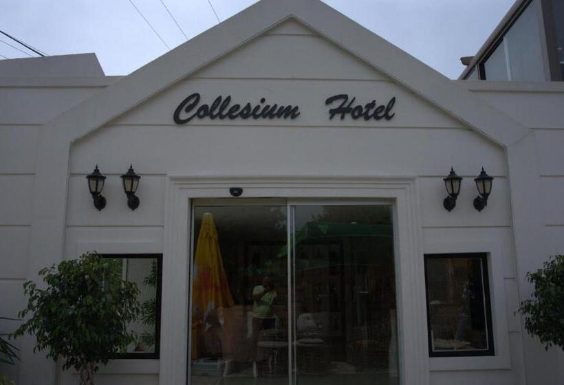 تختخواب و صبحانه Collesium Garden