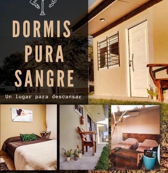 住宿加早餐 Pura Sangre