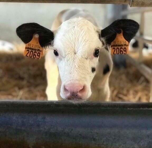 De Burkelhoeve App.b