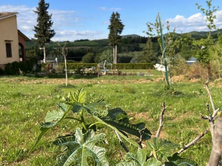 בית מלון כפרי Agriturismo La Palma Sambuca Val Di Pesa